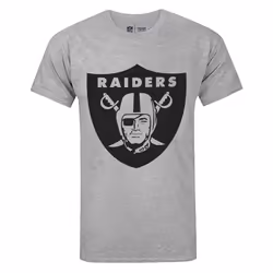 NFL Mens Las Vegas Raiders Logo T-Shirt - L, Grey