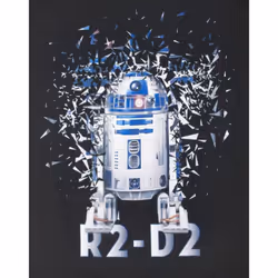 Star Wars Boys R2-D2 T-Shirt