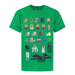 Minecraft Boys Sprites T-Shirt - 13-14 Years, Green