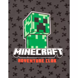 Minecraft Childrens/Kids Creeper All-Over Print T-Shirt - 11-12 Years, Grey