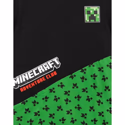 Minecraft Childrens/Kids Creeper Colour Block T-Shirt - 11-12 Years, Black