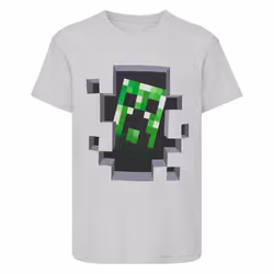 Minecraft Childrens/Kids Creeper T-Shirt - 3-4 Years, Grey