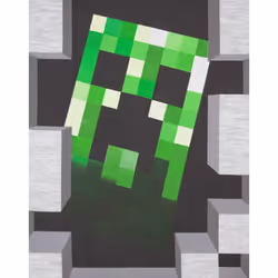 Minecraft Childrens/Kids Creeper T-Shirt - 3-4 Years, Grey