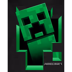 Minecraft Childrens/Kids Inside Creeper Hoodie