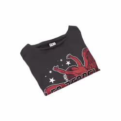Amplified Womens/Ladies Icarus Tour 77 Led Zeppelin Crop Top - S, Grey