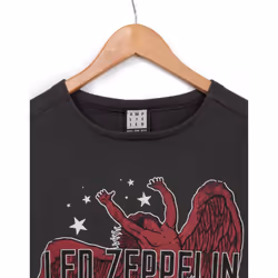 Amplified Womens/Ladies Icarus Tour 77 Led Zeppelin Crop Top - S, Grey