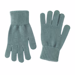 Jack Wolfskin Unisex Adult Milton Gloves - L, North Atlantic