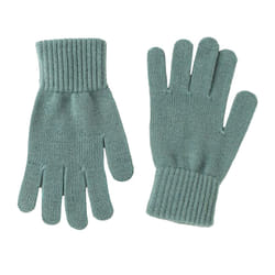 Jack Wolfskin Unisex Adult Milton Gloves - L, North Atlantic