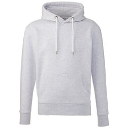 Anthem Unisex Adult Organic Hoodie - S, Ash
