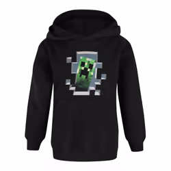 Minecraft Boys Inside Creeper Hoodie