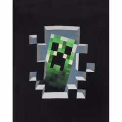 Minecraft Boys Inside Creeper Hoodie