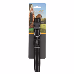 Regatta Premium Dog Collar