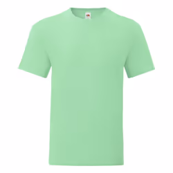 Fruit Of The Loom Mens Iconic T-Shirt (Pack Of 5) - XL, Neo Mint