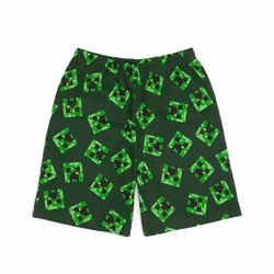 Minecraft Childrens/Kids Short Pyjama Set