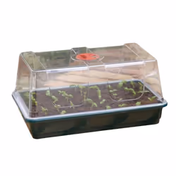 Garland Dome Propagator