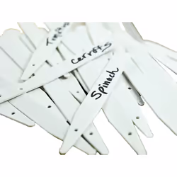 Ambassador Plant Labels (Pack of 100)