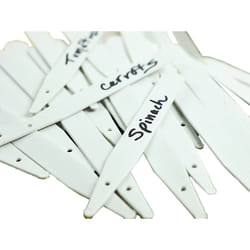 Ambassador Plant Labels (Pack of 100)