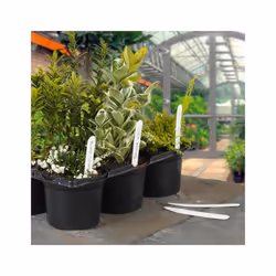 Ambassador Plastic Plant Labels (Pack of 100)