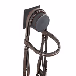 Stubbs Horse Bridle Stub