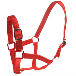 Roma Horse Headcollar and Leadrope - Pony, Red
