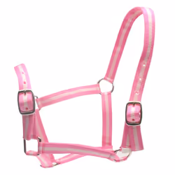 Roma Horse Headcollar and Leadrope - Full, Pink/Silver