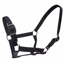 Roma Horse Headcollar and Leadrope - Cob, Navy