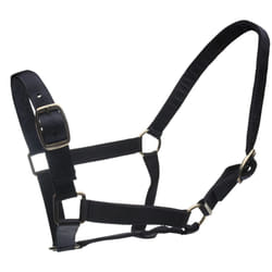 Roma Horse Headcollar and Leadrope - Full, Navy