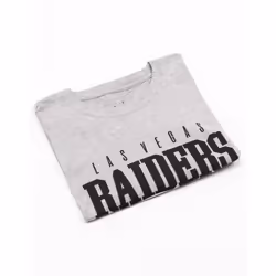 NFL Womens/Ladies Las Vegas Raiders T-Shirt - S, Grey/Black