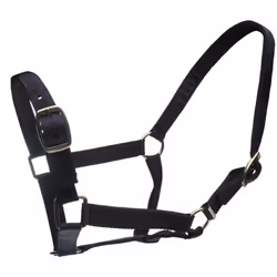 Roma Horse Headcollar and Leadrope - Cob, Black
