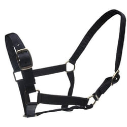 Roma Horse Headcollar and Leadrope - Cob, Black