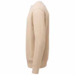 Anthem Unisex Adult Organic Sweatshirt - XS, Desert Sand