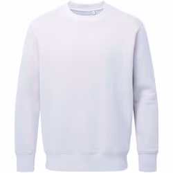 Anthem Unisex Adult Organic Sweatshirt - S, White