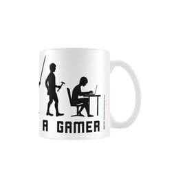 Pyramid International Evolution Of A Gamer Mug