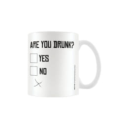 Pyramid International Are You Drunk Mug