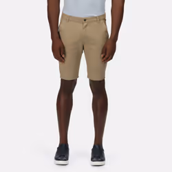 Regatta Mens Sandros Shorts - 30R, Gold Sand