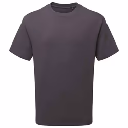 Anthem Unisex Adult Heavyweight T-Shirt - XS, Charcoal