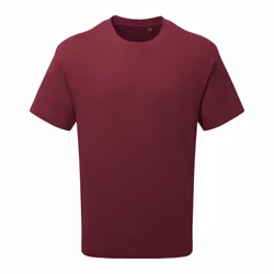 Anthem Unisex Adult Heavyweight T-Shirt - XS, Burgundy