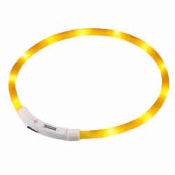 Regatta LED Dog Collar - One Size, Yellow