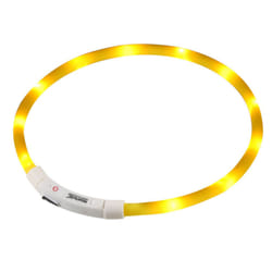 Regatta LED Dog Collar - One Size, Yellow