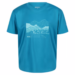 Regatta Childrens/Kids Alvarado VI Mountain T-Shirt - 14 Years, Enamel Blue