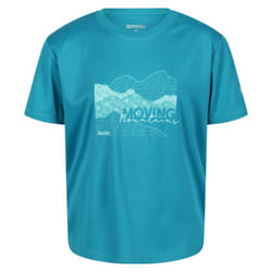 Regatta Childrens/Kids Alvarado VI Mountain T-Shirt - 14 Years, Enamel Blue