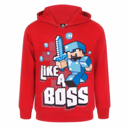 Minecraft Boys Like A Boss Hoodie