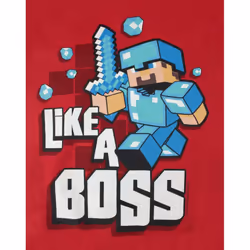 Minecraft Boys Like A Boss Hoodie