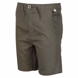 Regatta Childrens/Kids Alber Ottoman Shorts - 14 Years, Grape Leaf