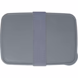 Seasons Dovi Plastic Lunch Box - 6cm x 19cm x 13cm, Grey