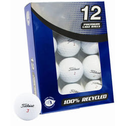 TITLEIST RECYCLED REFINISHED GARDEN GAME GOLFERS RECLAIM GOLF BALLS BOX OF 12