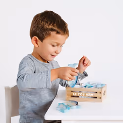 Le Toy Van TV184 role play toy