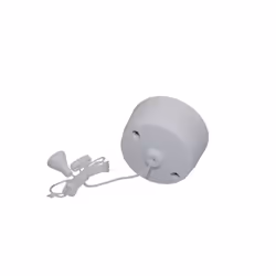 PPSWCL2W Ceiling Pull Switch 6AX2 Way