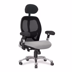 NAUTILUS Designs Ergo Luxury High Back Ergonomic Mesh Executive Operat