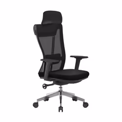 NAUTILUS Designs Moritz High Back Mesh Ergonomic Executive Chair With